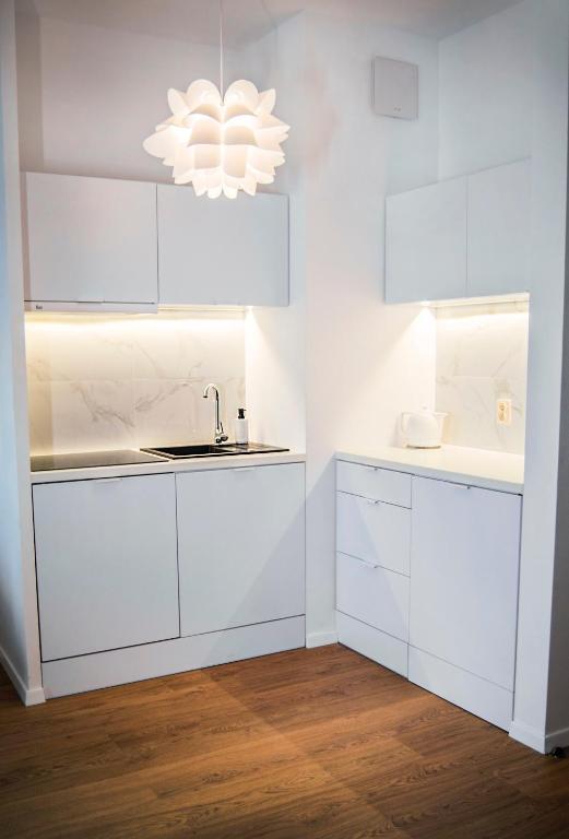 Kuchyňa alebo kuchynka v ubytovaní Apartamenty Rakowicka WAWELOFTS