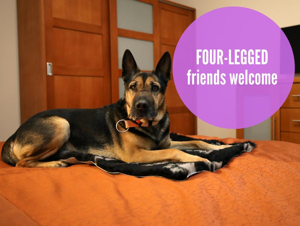 Andel Apartments Praha - Resim 34