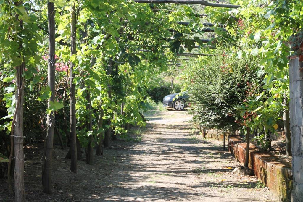 Zahrada ubytování Agriturismo Piccolo Paradiso