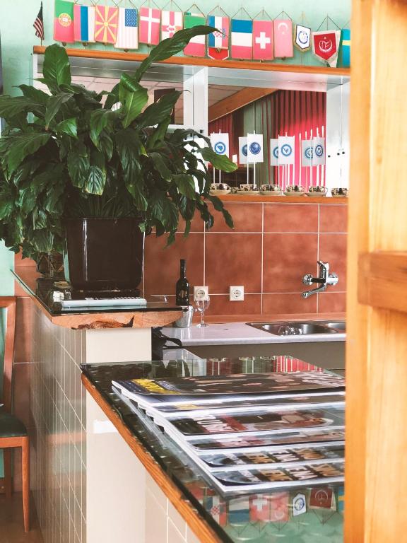 Kuchyň nebo kuchyňský kout v ubytování Hotel Imzit Dobrinja