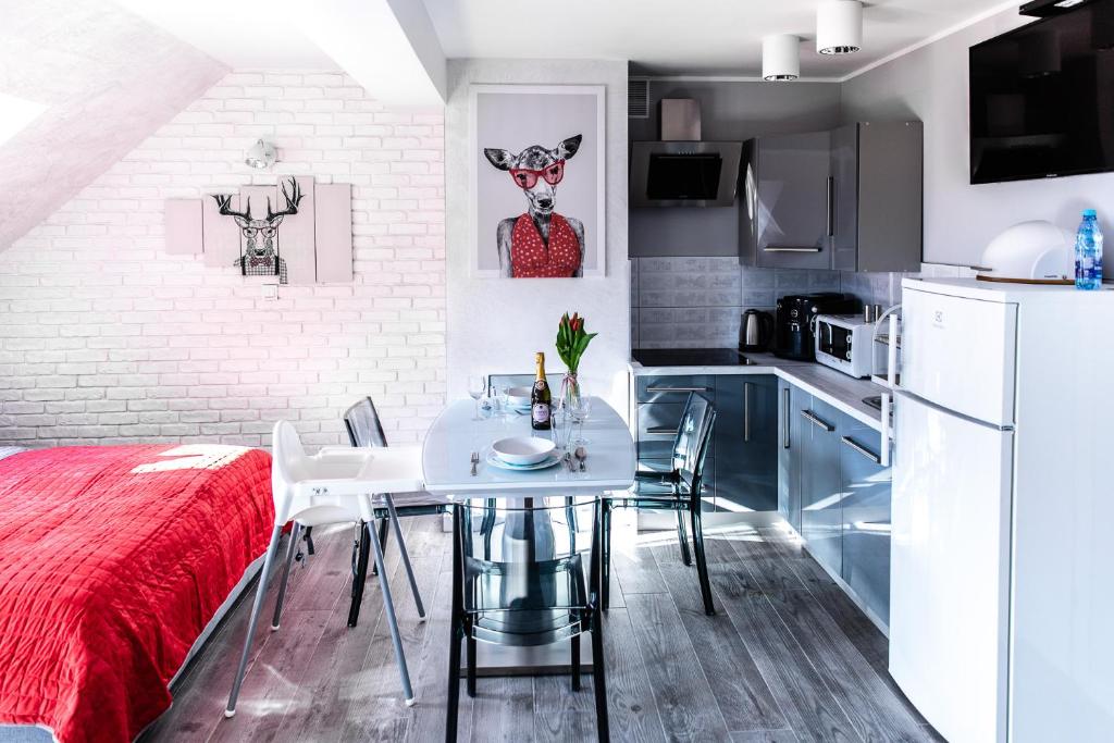 Kuchyňa alebo kuchynka v ubytovaní Apartament Łania Frania