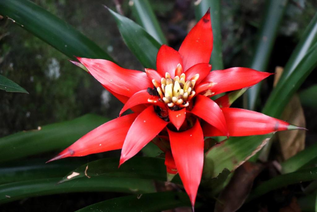  Pousada Santa Thereza