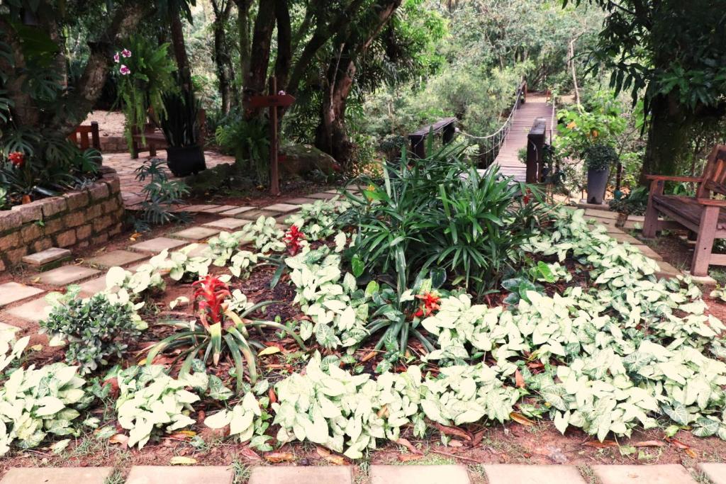  Pousada Santa Thereza