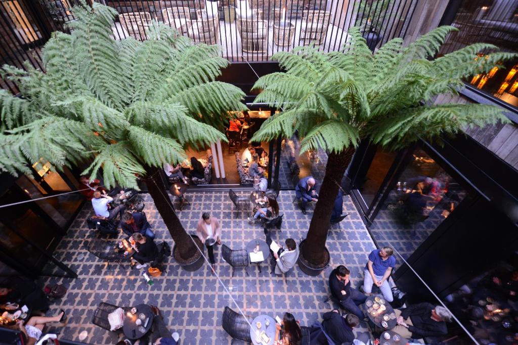 The Mandrake - Resim 6