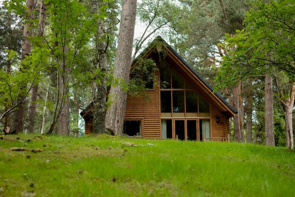una cabaña de madera en medio de un bosque en Macdonald Woodland Lodges at Macdonald Aviemore Resort, en Aviemore