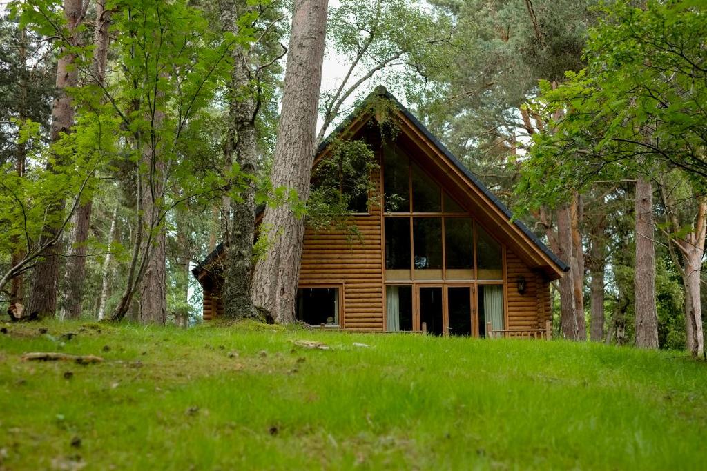 domek z bali w środku lasu w obiekcie Macdonald Woodland Lodges at Macdonald Aviemore Resort w Aviemore