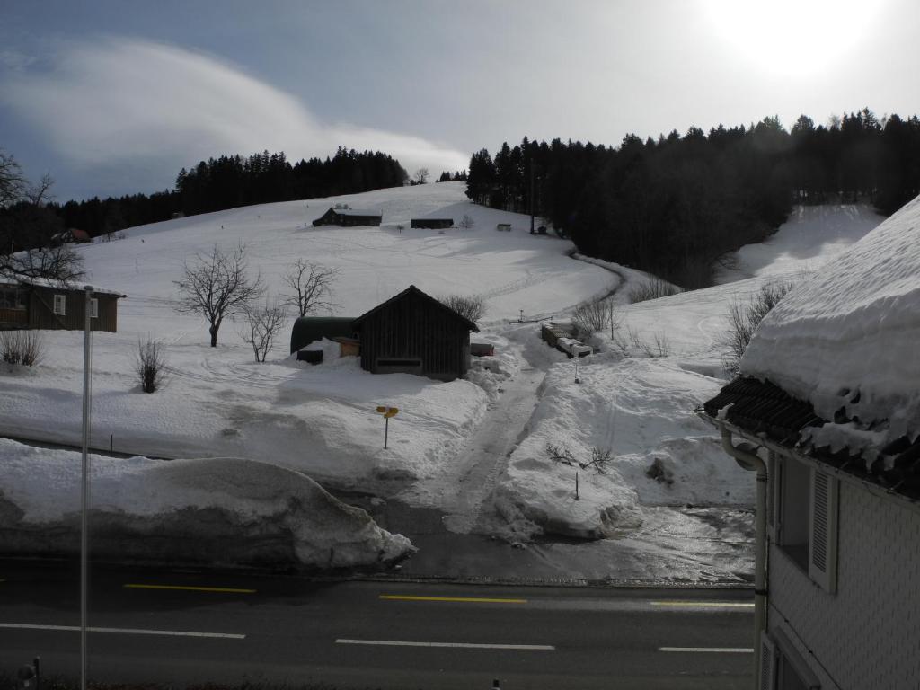 Landgasthaus Bären v zimě