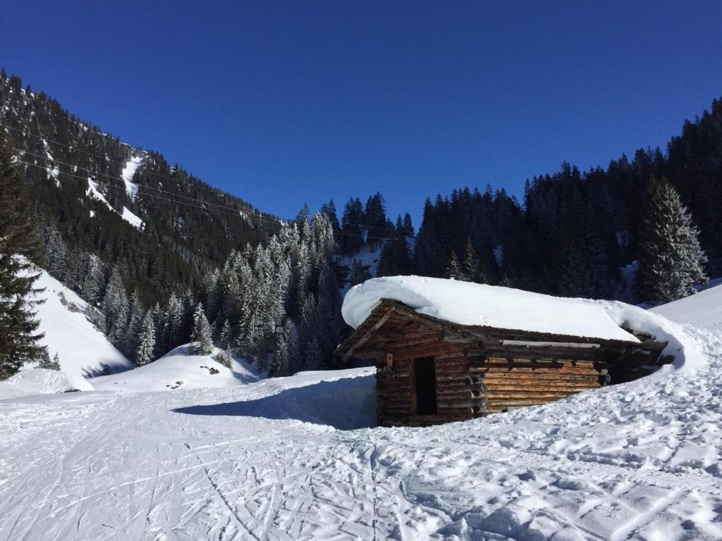 AlpinAppartements Stöckl v zimě