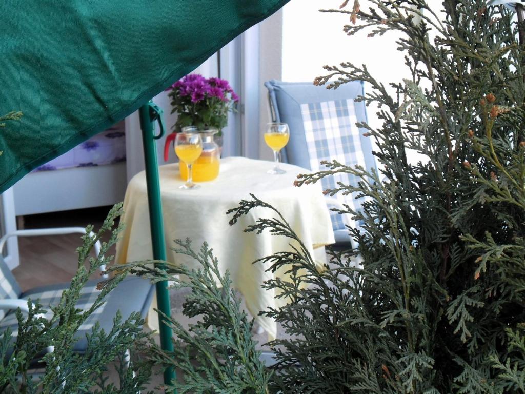 Vonkajšia záhrada v ubytovaní Apartments Kestenovi Dvori