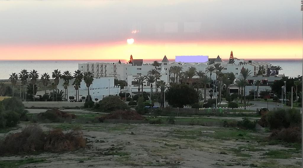 una vista di una città con palme e l'oceano di Atico con piscina privada a Vera