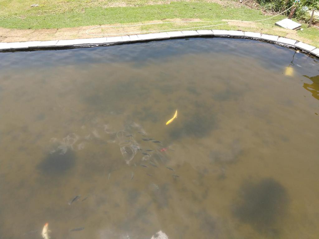  Pousada Silvestre