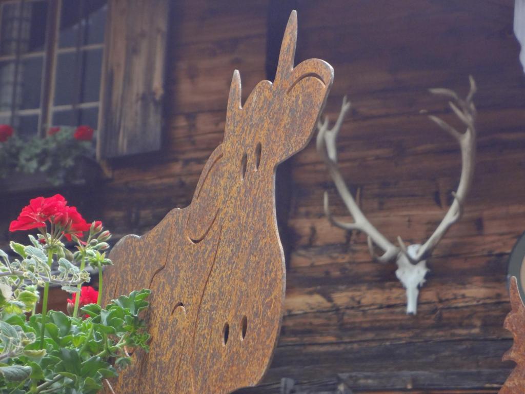 Fotografie z fotogalerie ubytování Haus Bichl ve Finkenbergu