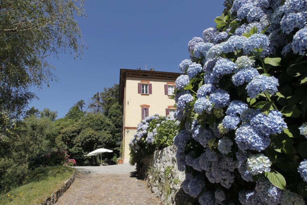 un edificio con flores azules delante de él en I Faggi di S. Giorgio en Brunate