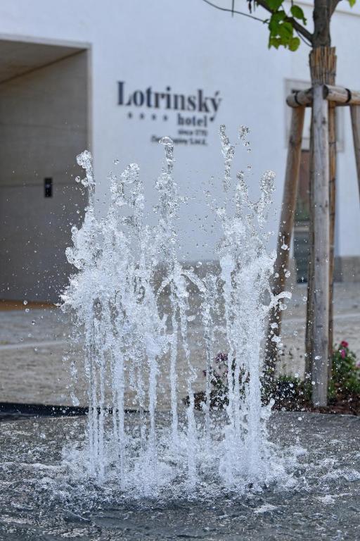 Fotografie z fotogalerie ubytování Lotrinský hotel ve Velkých Pavlovicích