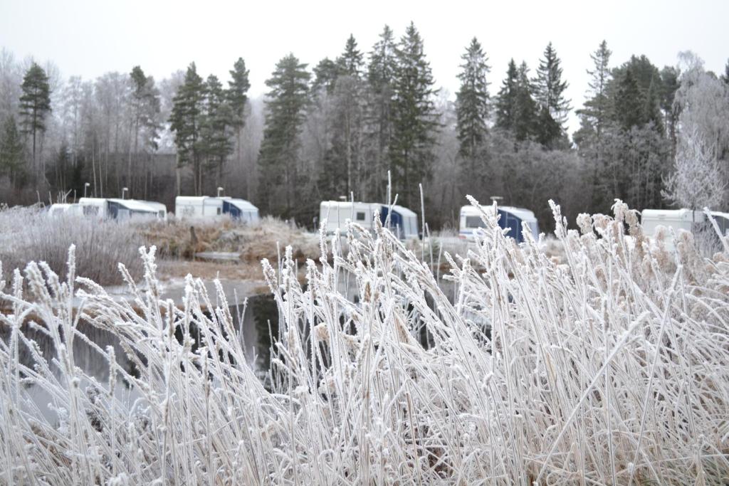 First Camp Enåbadet - Rättvik v zimě