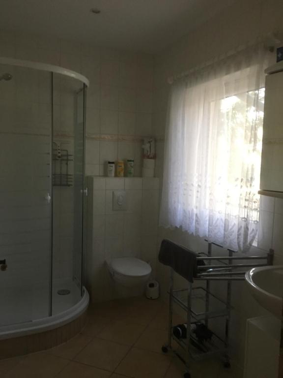 ein Bad mit einer Dusche, einem WC und einem Waschbecken in der Unterkunft Ferienhaus Daul in Wandlitz