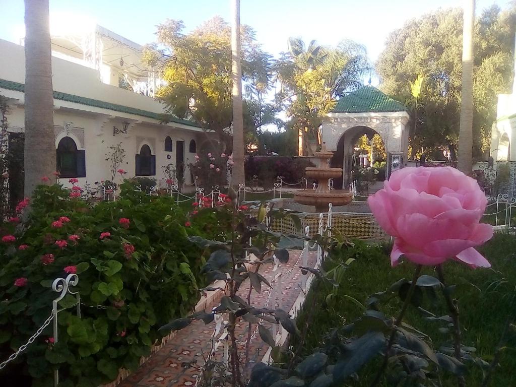 Zahrada ubytování Hotel Riad L' Arganier D' Or