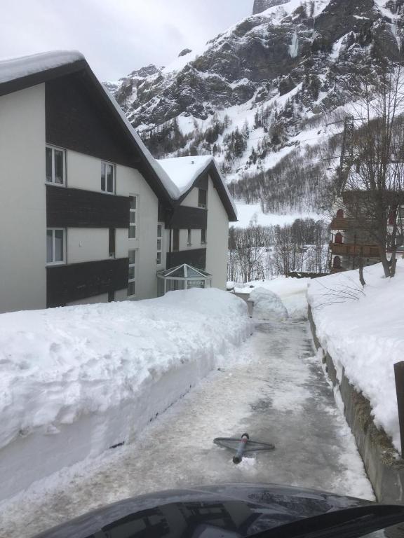 Příroda nedaleko apartmánu