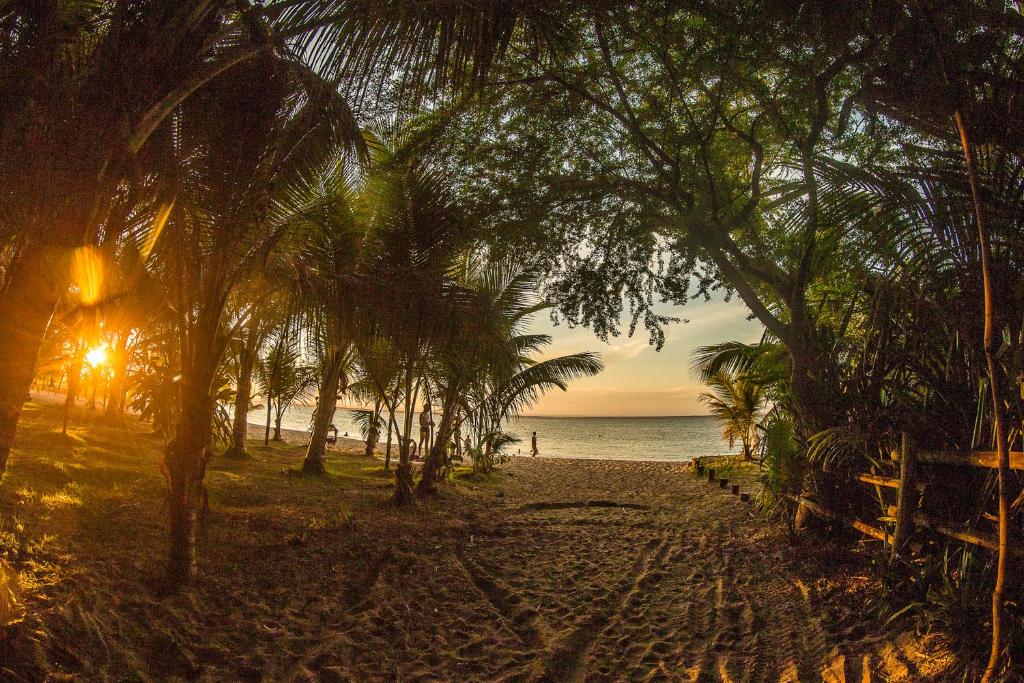 Ravenalas - Barra Grande