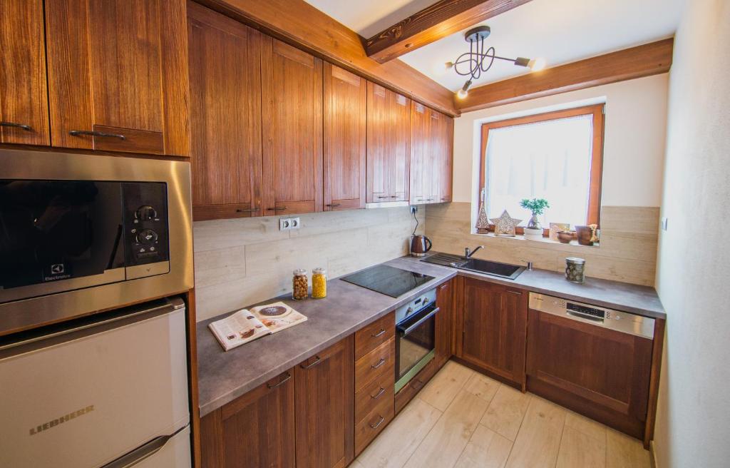 Kuchyň nebo kuchyňský kout v ubytování Apartmány Bílá 188
