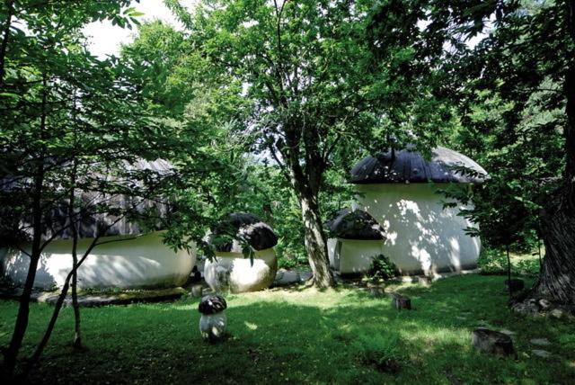 A garden outside Hotel Maria Nella