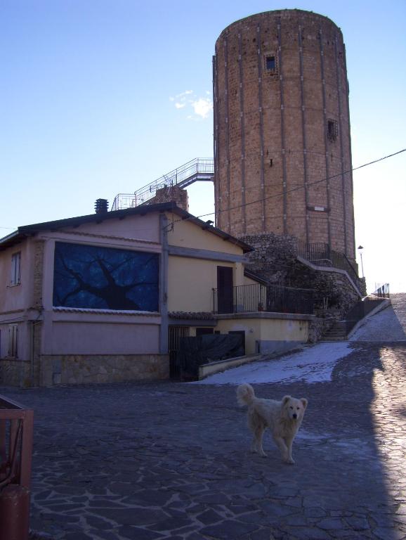 Domácí mazlíčci ubytovaní s hosty v ubytování LITTLE TOWER