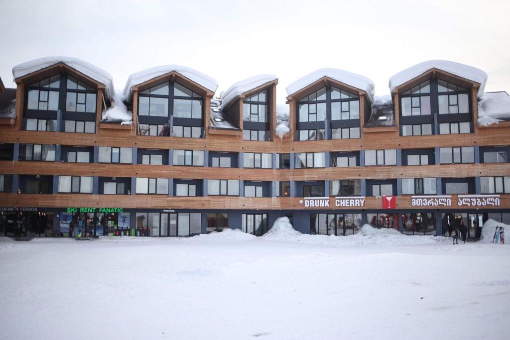 New Gudauri Block 4, Gondola apartment v zimě