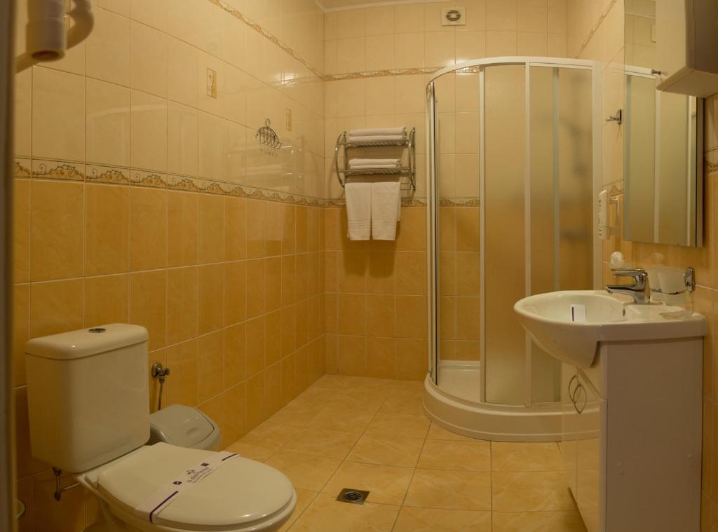 Solnichnaia Dolyna - Standard Double Room