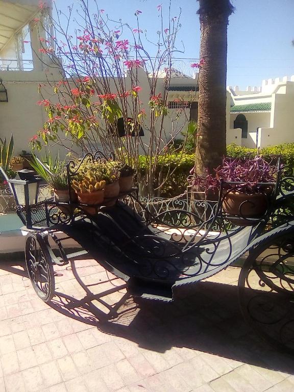 Zahrada ubytování Hotel Riad L' Arganier D' Or