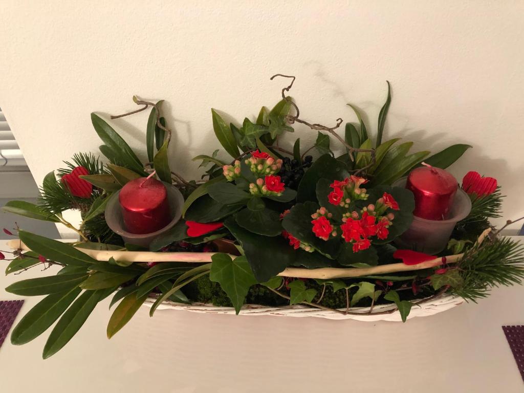Foto sihtkohas Kolín asuva majutusasutuse Elf galeriist