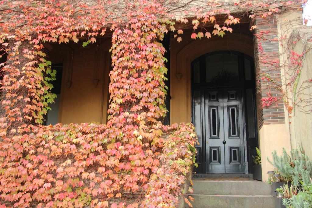 Quest St Kilda Bayside - Resim 21