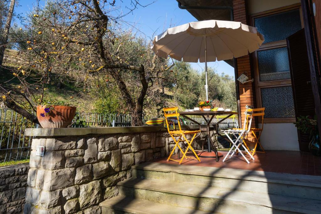 Zahrada ubytování Villa Giulia