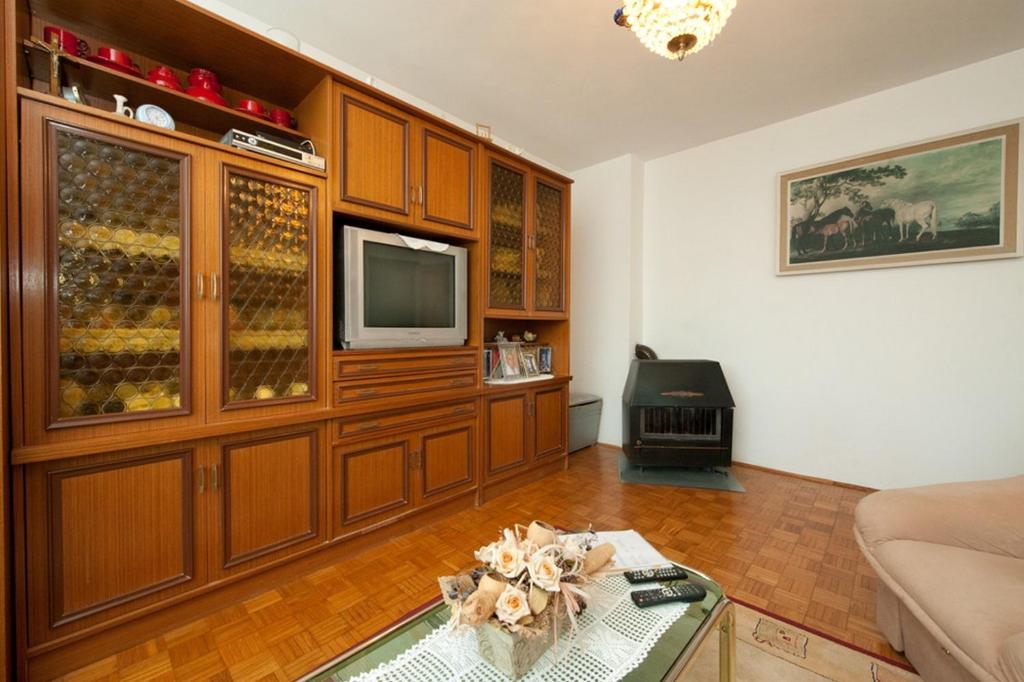 TV a/nebo společenská místnost v ubytování Apartment Patricia