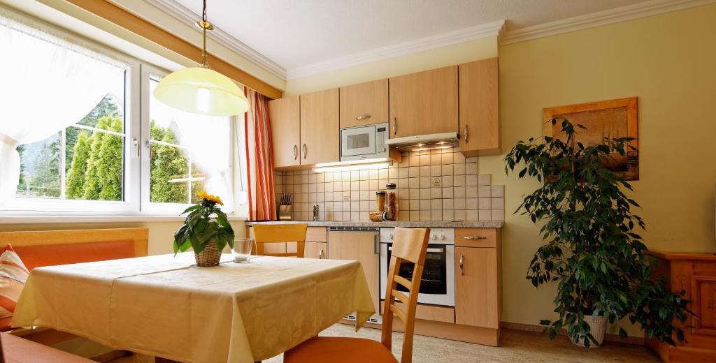 Cucina o angolo cottura di Appartment Kinigadner
