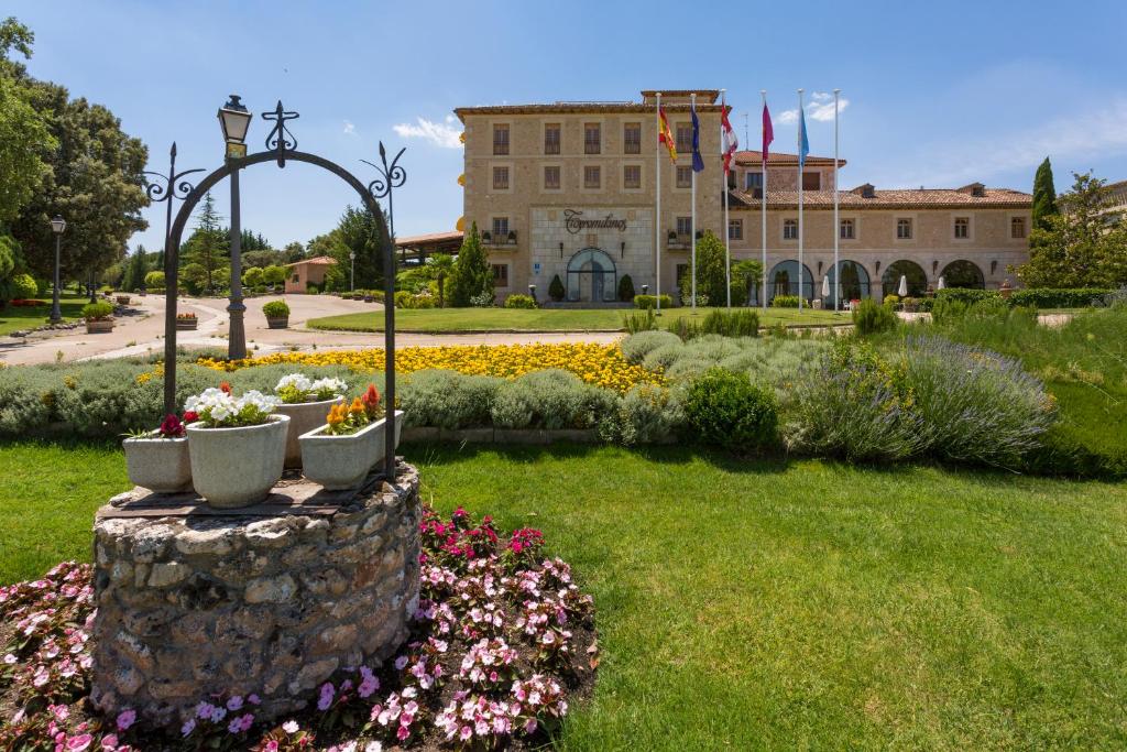 Zahrada ubytování Hotel Torremilanos