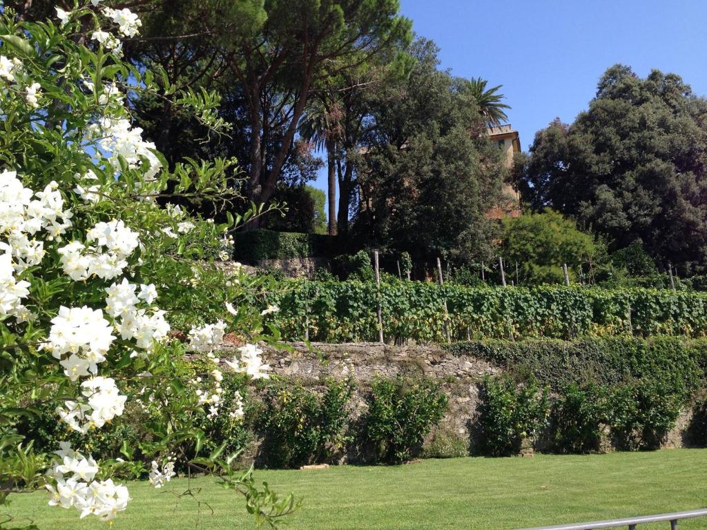 a garden with white flowers on a stone wall at Villa Agnese in Sestri Levante