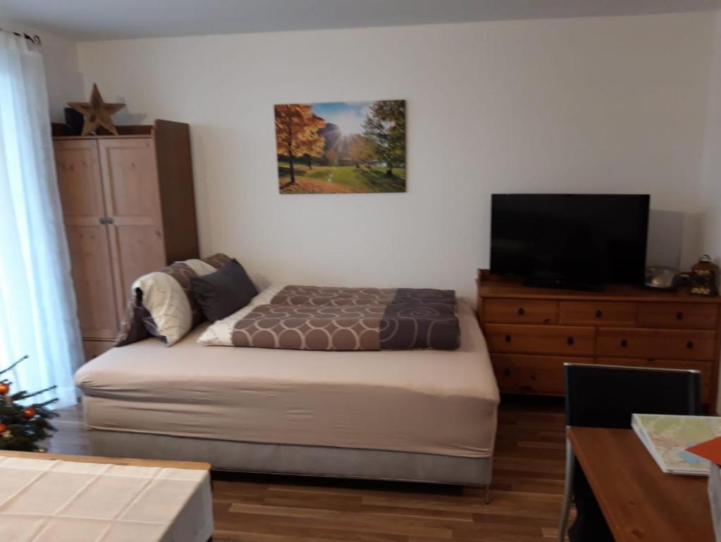 sypialnia z łóżkiem i telewizorem na komodzie w obiekcie Apartment Kendlbacher w mieście Zell am See