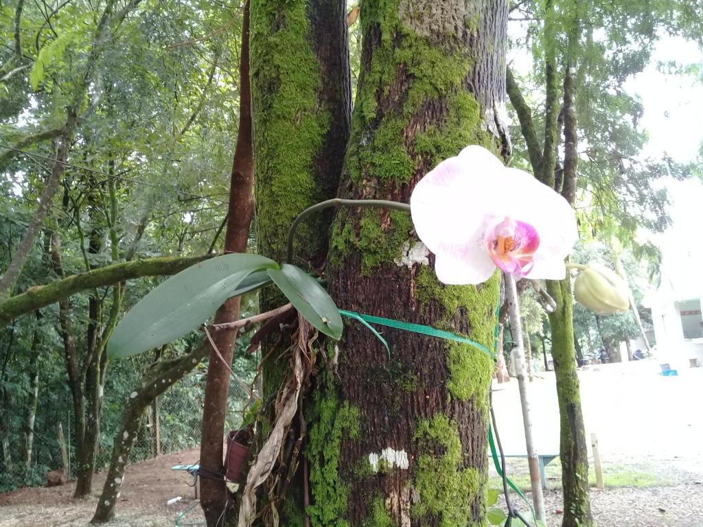  CAMPING RECANTO DOS PÁSSAROS