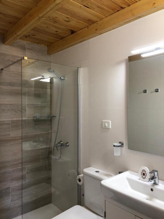 łazienka z prysznicem, toaletą i umywalką w obiekcie Apartamento Salinas w mieście Pozo Izquierdo