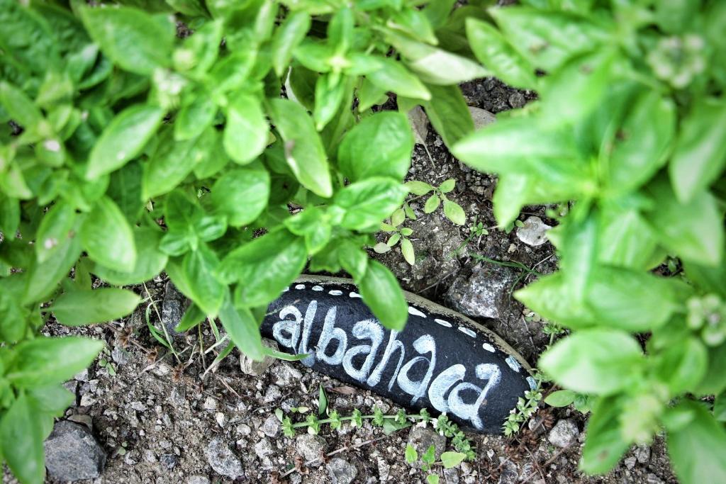 Zahrada ubytování Cabalonga EcoAdventure