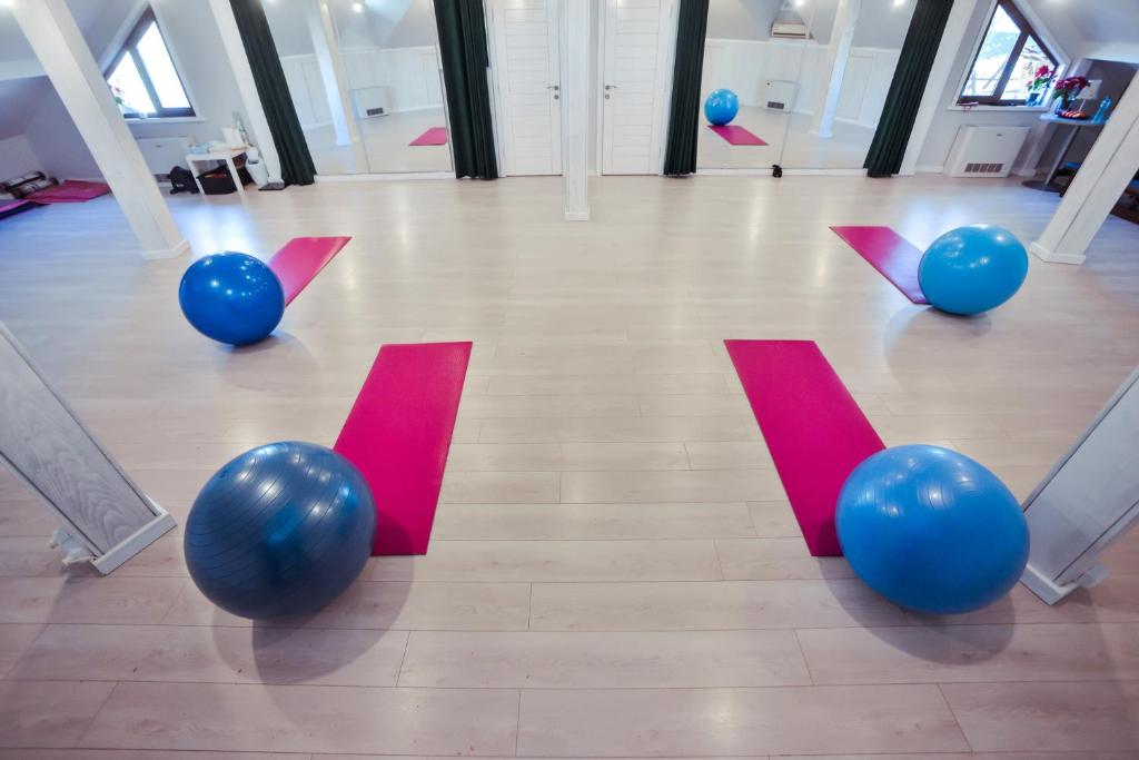 Fitness centrum a/nebo fitness zařízení v ubytování Hotel Insula