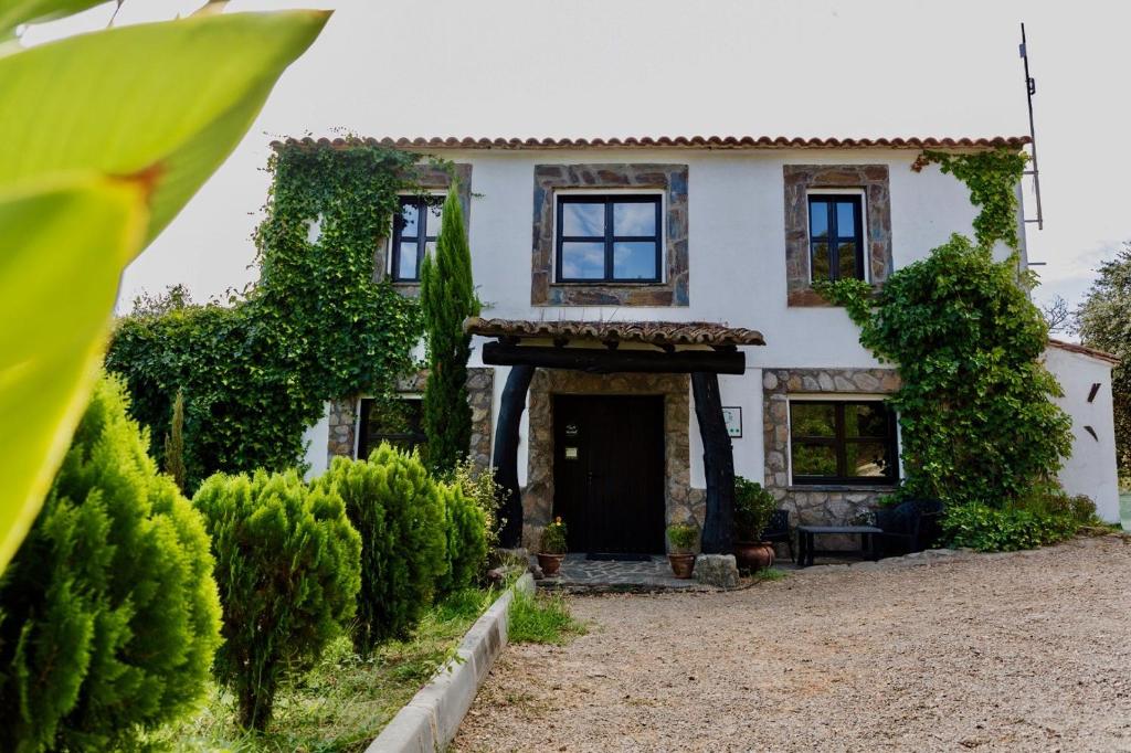 uma casa branca com uma porta preta e arbustos em Casa La Viña em Pedroso de Acim