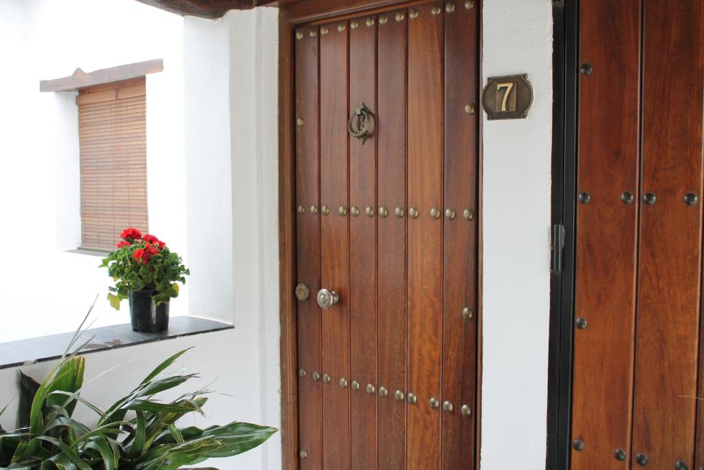 a wooden door in a room with a plant at Suite Castillejo in Capileira