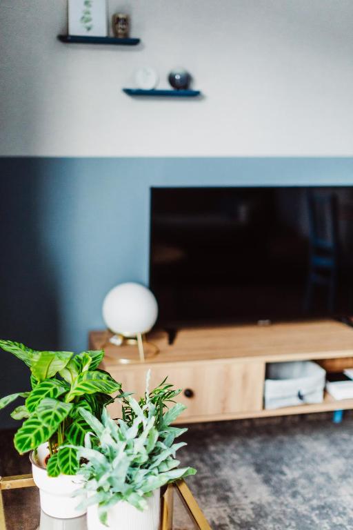 Televízia a/alebo spoločenská miestnosť v ubytovaní Mosquito Silesia Apartments