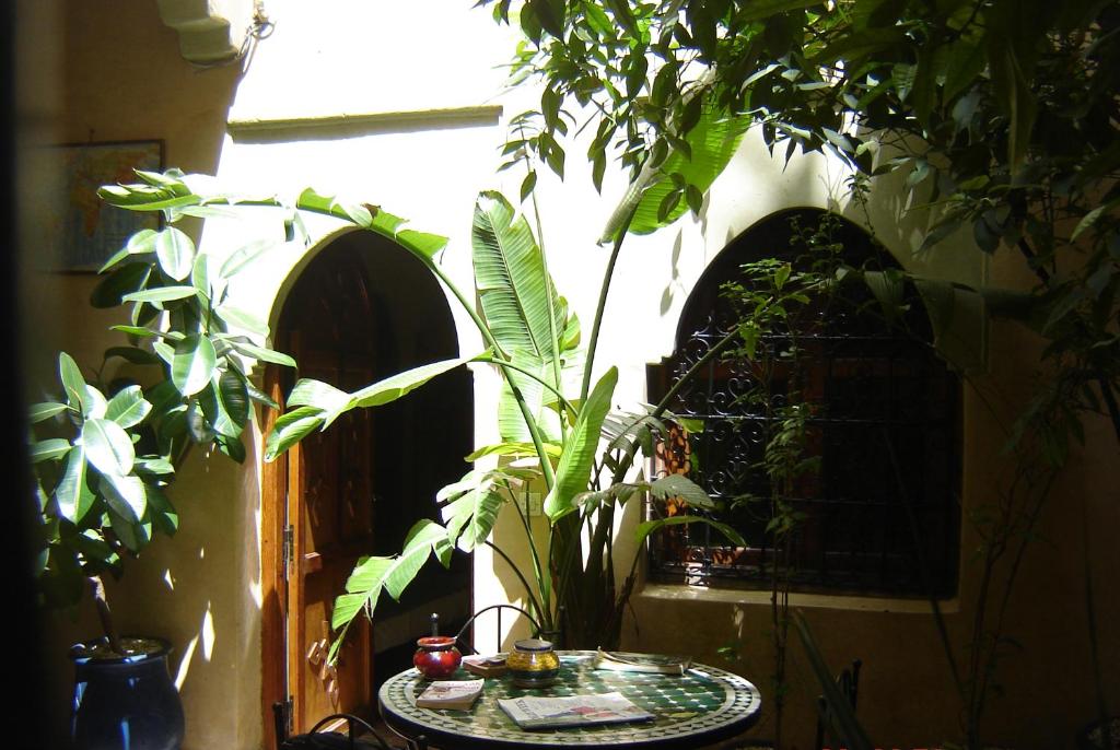 Zahrada ubytování Riad Hôtel Belleville Marrakech