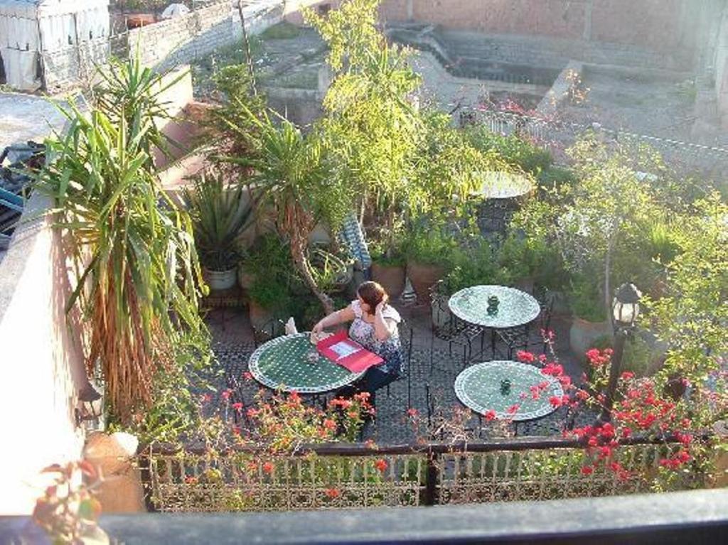 Zahrada ubytování Riad Hôtel Belleville Marrakech