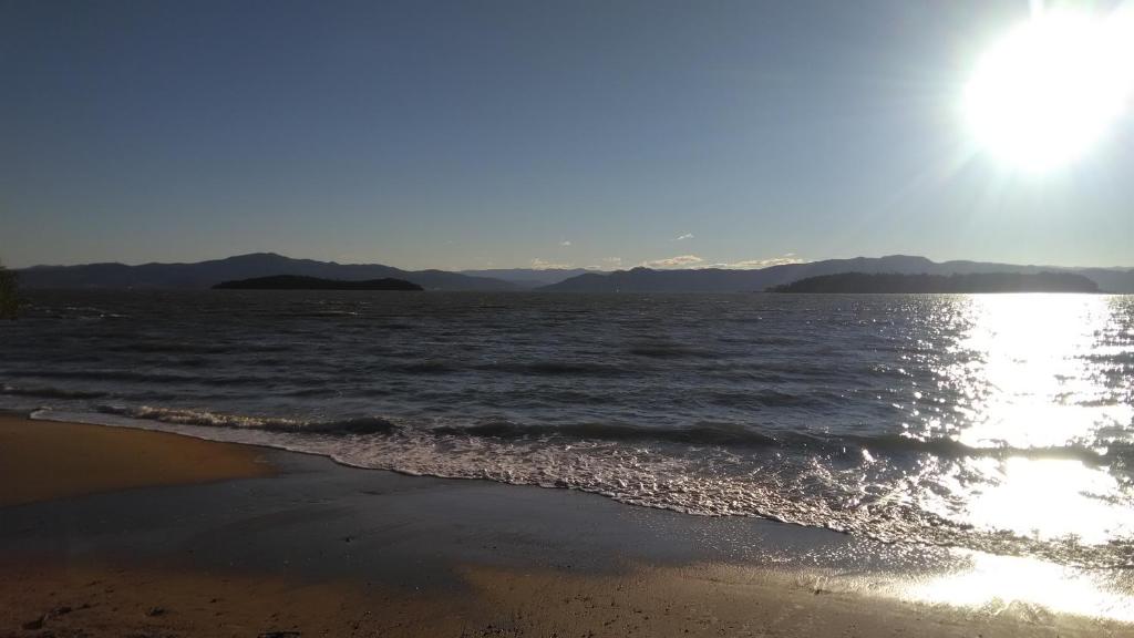  Tartaruga Azul