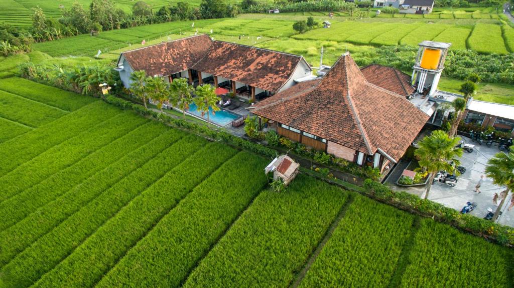 an aerial view of a house in a field at Kampung Canggu in Canggu