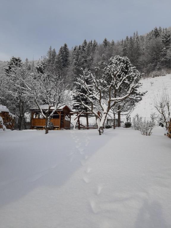 a snow covered yard with a house and trees at Rekreačný domček Judka in Dedinky