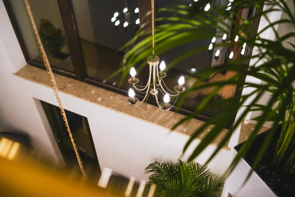 Balkón nebo terasa v ubytování Hotel & Apartments Ventus Rosa
